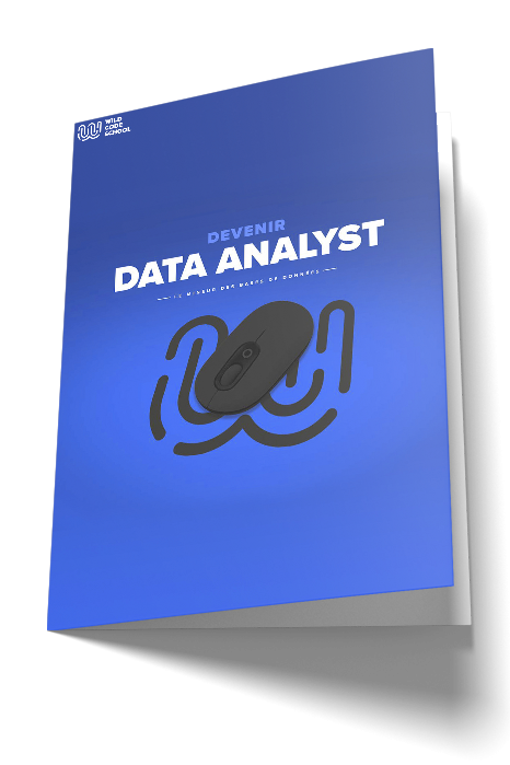 Guide métier data analyst